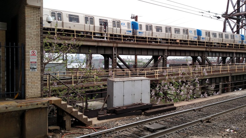 Tree under a train station - wide